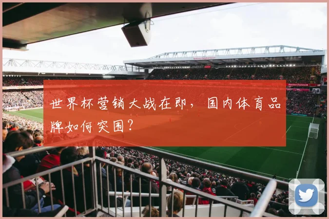 世界杯营销大战在即，国内体育品牌如何突围？