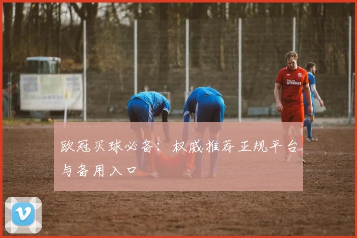 欧冠买球必备：权威推荐正规平台与备用入口